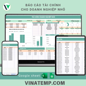 Báo cáo tài chính doanh nghiệp nhỏ
